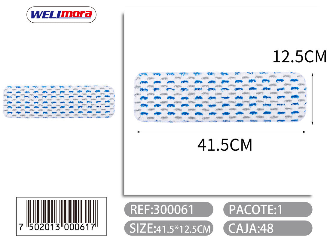 300061 Limpiando suministros