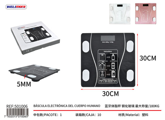501006 Basculas y medidor de temperatura
