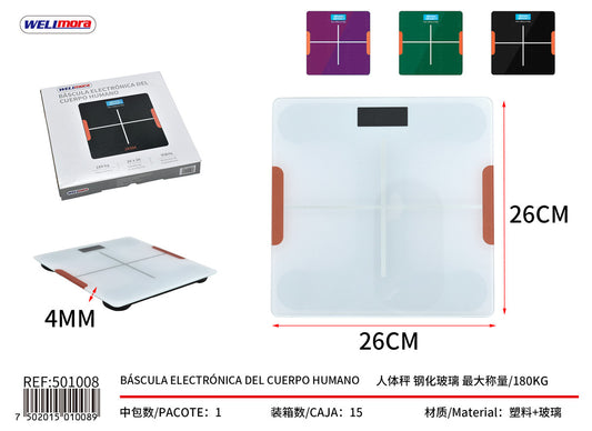 501008 Basculas y medidor de temperatura